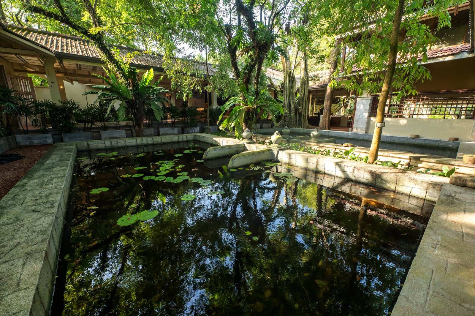 Garden 01