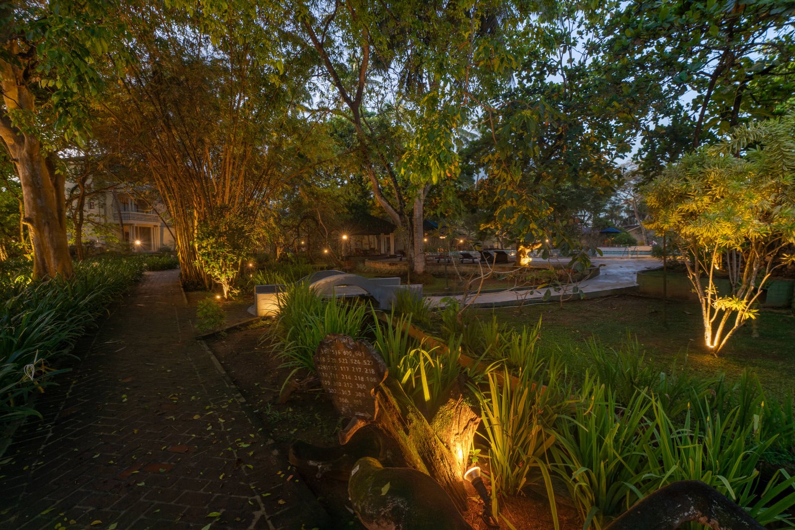 Garden 08