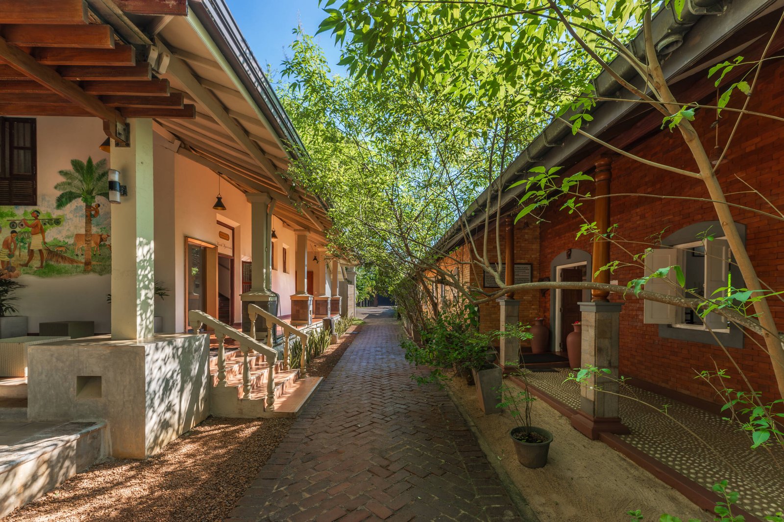 Garden 09