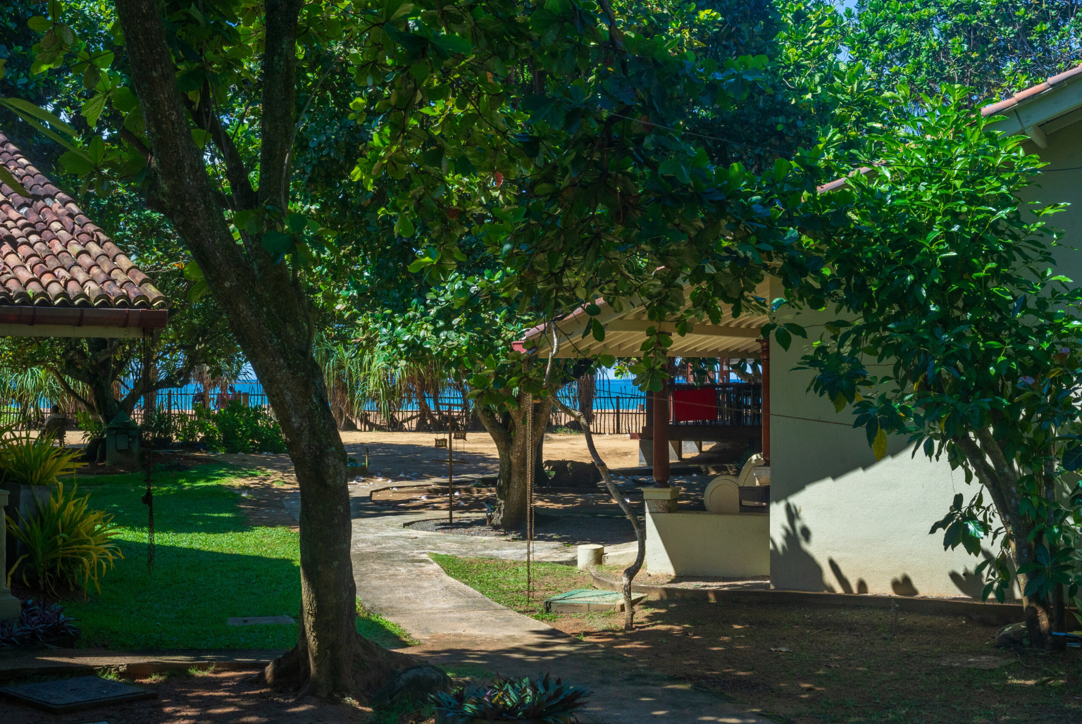 Garden 05